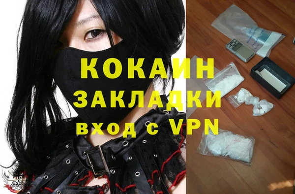 стафф Дмитров