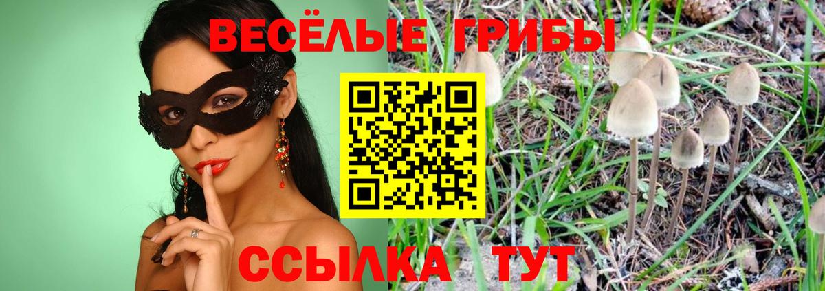 Похвистнево  Галлюциногенные грибы Cubensis  купить  цена  Вход с VPN 